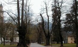 1324652333-967536784-Parco_3