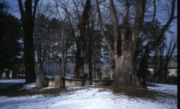1324652333-967536784-Parco_banco_reson