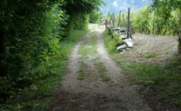1325092353-57803661-Sentiero_San_Valentino