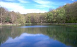 1325236347-1610338240-lago_di_Santa_Giulia_primavera
