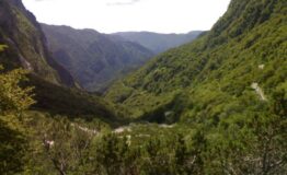 1327939664-627245780-valle1