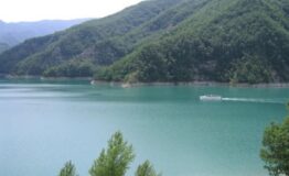 1328201832-1972242416-72923341_foreste-casentinesi