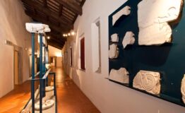 1328206564-467130438-Galeatax_Museo_Civico_Mons._Mambrini_x3x