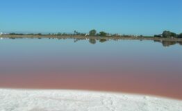 1330368849-771798806-saline_2