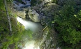 1331296897-1783638254-20080619_221157_SEGHERIA_SUL_TORRENTE