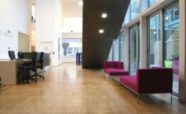 1331299301-731111959-IMG_0722_784_2858