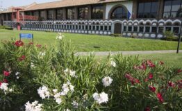 1331823002-1270437272-cascina_7