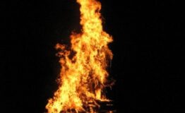1331832181-1873084174-IMG_1765
