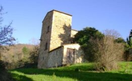 1333109852-801896409-13905872-1-rustico-casale-corte-in-vendita-a-tavarnelle-val-di-pesa-badia-a-passignano