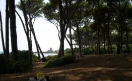 1346668379-2672641-Torre_astura_pineta