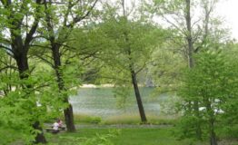 1355503534-913188879-Sostando_al_lago_di_Villa__1024x768_