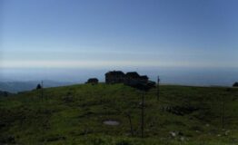 1355761138-350377261-caltrano2.png