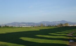 1355927227-1470306277-I_Colli_Albani_visti_dal_parco_degli_acquedotti_Roma