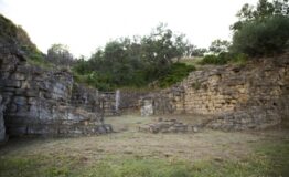 1493836976_porta_est_web_5