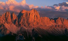 1494341764_Panorama_Rosengarten