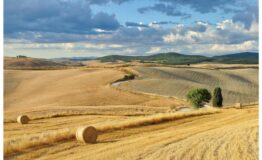 1519226817_paesaggio-toscano-2