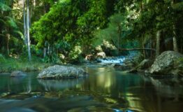 1519229906_guida-alle-riserve-naturali-in-australia_2797043d5dce82b5fce99a2b94020dc0