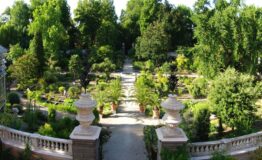 1519230431_orto_botanico-padova-radi-ocompany-easy