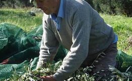 1519309065_copyright_Ioannis_Drinis