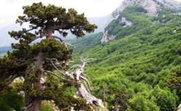 1519310032_PARCO-NAZIONALE-POLLINO-7
