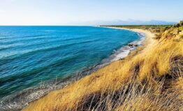 1519311783_selve-costiere-di-toscana-2-photo-credits-parco-di-san-rossore-e-massaciuccoli