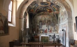 1520507324_parr_hp_gallery_cerveno13