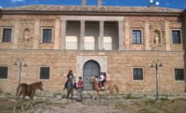 1520899669_masseria-di-santo-spirito_47624