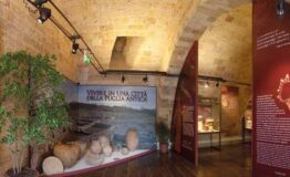 1522752719_Foto_Museo_Nazionale_Archeologico_di_Gioia_del_Colle_87