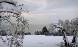 1536660765_contea_neve