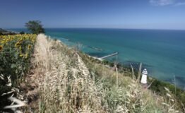 1536660765_paesaggio_contea