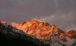 Alba