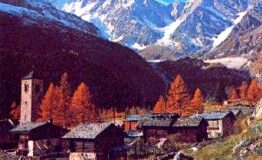 DORF