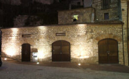 DSCF0881