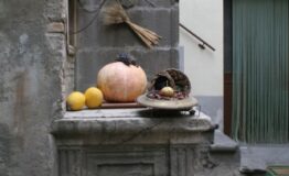 Varola-IMG_7283_1_
