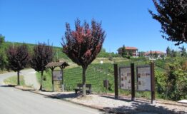 Vinchio_San_Michele_2