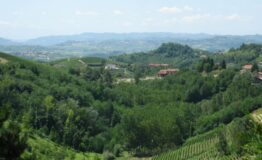 Vinchio_Vista_delle_colline_attraversate_dal_percorso