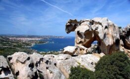 capo-d-orso