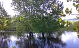 fine_Gurrida_10_maggio_2008_079