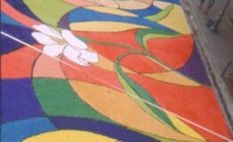 infiorata_1