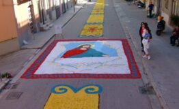 infiorata_6