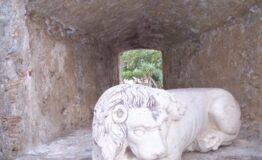 interno_castello_Leone